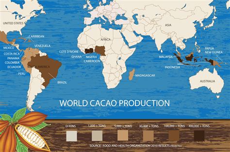 ¡Cacao: Explorando el Tesoro Marrón del Mundo de los Alimentos y Bebidas!