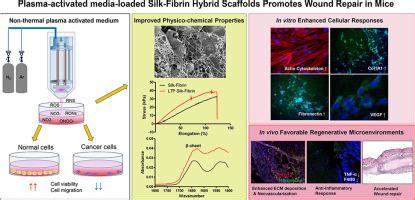  Fibrin: ¿Un biomaterial con potencial para revolucionar la medicina regenerativa?