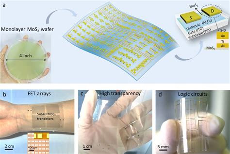  ¿Vandio: El Futuro de la Electrónica Flexible y Sensores Transparentes?