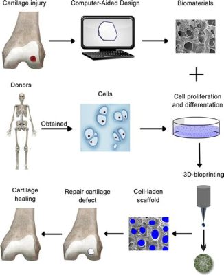  Wool: Unraveling its Potential as a Biocompatible Scaffold for Tissue Engineering!